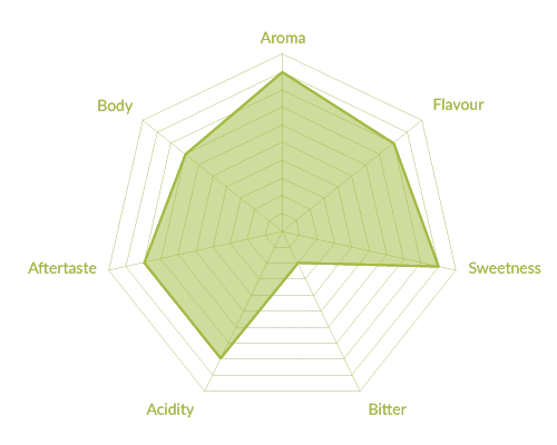 Musetti Espresso Bio Miscela Midori 2 Musetti Espresso Bio Miscela Midori – Bild 2