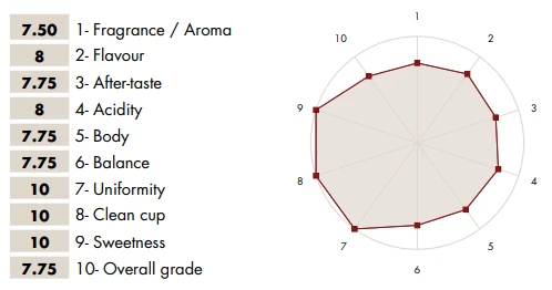 Carroux Espresso Yirgacheffe - Just In Time Röstung 2 Carroux Espresso Yirgacheffe - Just In Time Röstung – Bild 2